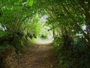 Ballade dans les chemins creux du bocage percheron